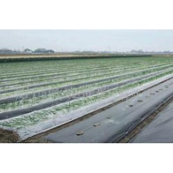 想買品牌好的除草地膜，就到開元塑料   ——山東地膜