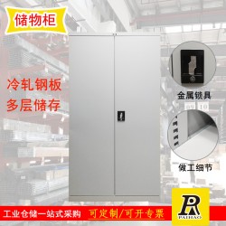 揚州重型置物柜雙開門可調(diào)節(jié)空間儲物柜工具量具柜
